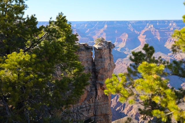 https://unsplash.com/s/photos/The-Grand-Canyon%2C-USA