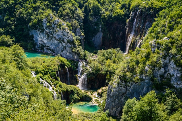 https://unsplash.com/photos/green-trees-beside-blue-body-of-water-during-daytime-9L6On5HV61I